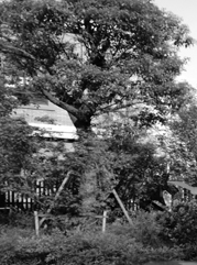 灌云注册公司